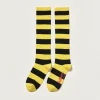 Chaussettes Montantes Bichir