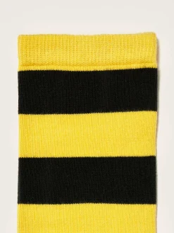 Chaussettes Montantes Bichir