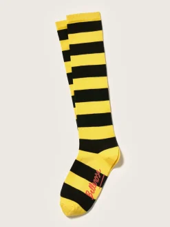 Chaussettes Montantes Bichir