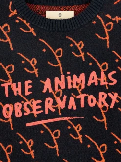 Pull Col Rond Gorfou